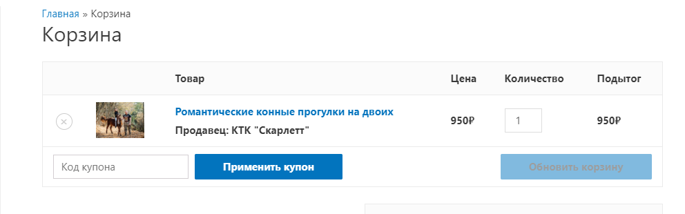 Краткая информация о товаре в корзине