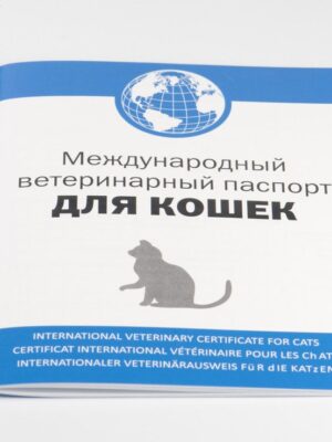 Оформление ветеринарного паспорта домашнего животного