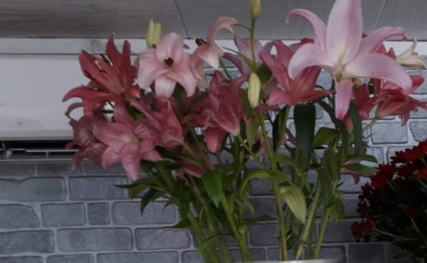 5 тюльпанов в букете, ТОП продаж