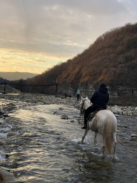 Катание на лошадях